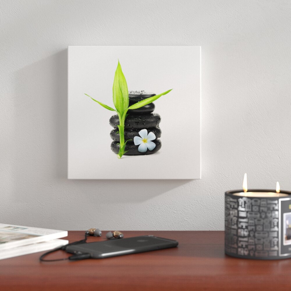 Glasbild Stone & Plant I, Kunstdruck