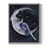 Gray Single Picture Framed is unavailable