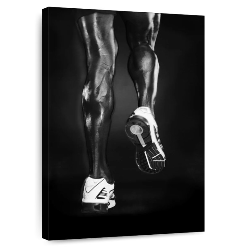 Pieds Sirecc, H 12 po x l 8 po