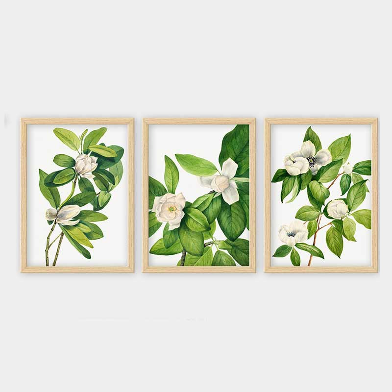 Ensemble de 3 peintures élégantes encadrées décoratives, 13,8 x 17,7 pouces chacune | 100% bois avec cadre 100% polystyrène (épaisseur: 0,8 pouce) | Impression numérique UV, parfaite pour le salon et la décoration intérieure
