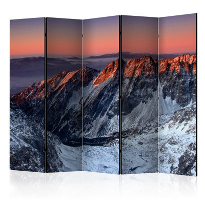 Camacho 225cm W x 172cm H 5 - Panel Folding Room Divider