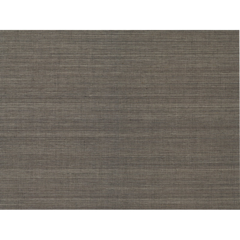 Washington Wood & Shiplap Grass Cloth Wallpaper Roll