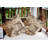 Flipping For Fall Outdoor Reversible Throw Pillow-20334093