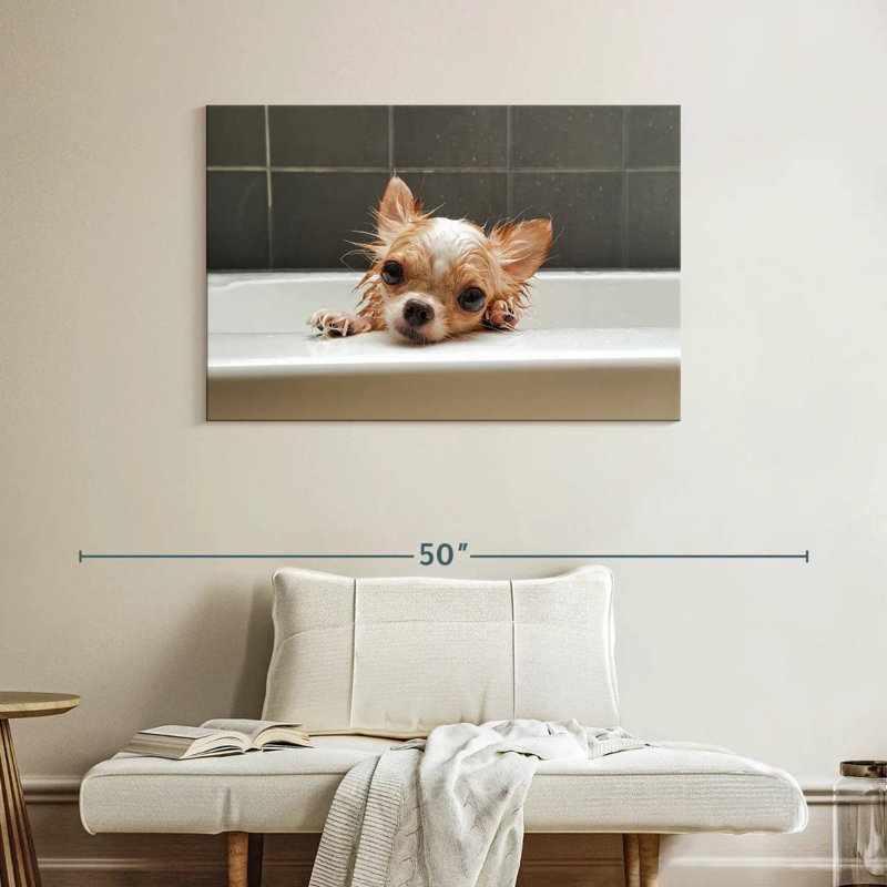 Brampt Chihuahua Bathing, H 26 po x l 39 po