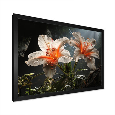 " Beautiful White Flower In Tropical Forest I "