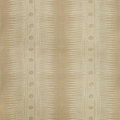 Indian Zag Fabric