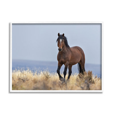 Cheval équestre dans une campagne sauvage, ciel bleu doux par - impression