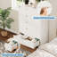 78.5 cm W Chest of 5 Drawers-181694364