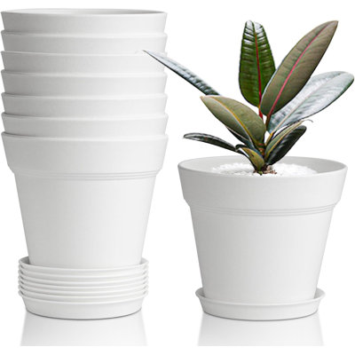 4" White Plant Pots With Drainage & Saucers (set Of 8)