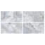 Jewel Onyx 24X48 Polished Porcelain Tile-1518693297
