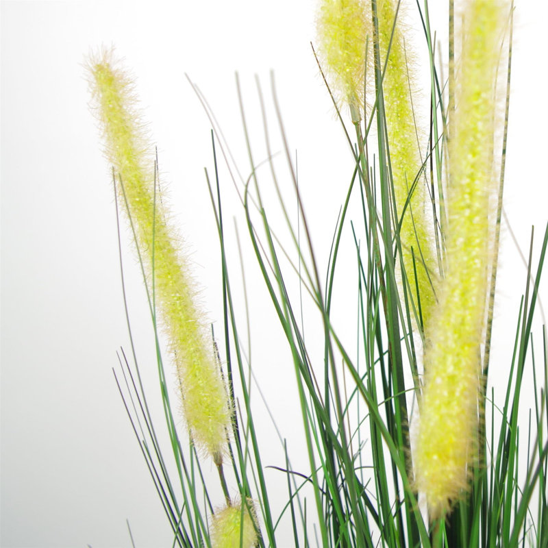 254 cm H Faux Onion Grass Plant