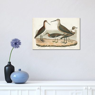 Waterbird Trio II by Alexander Wilson - Wrapped Canvas Gallery-Wrapped Canvas Giclée
