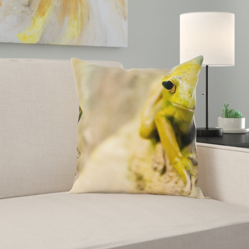 Coussin de grenouille