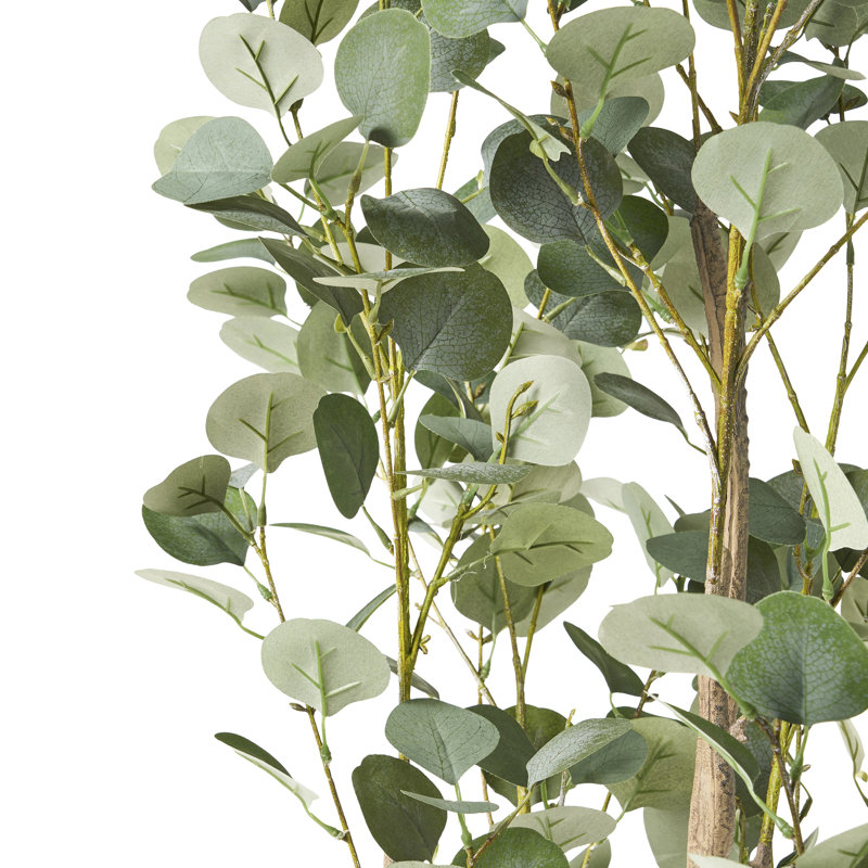 Arbre en eucalyptus artificiel de 180 cm - ajoute du style à l'intérieur de la maison, ce qui rehausse l'attrait de la pièce