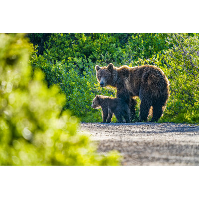 Parc national Banff par Don White