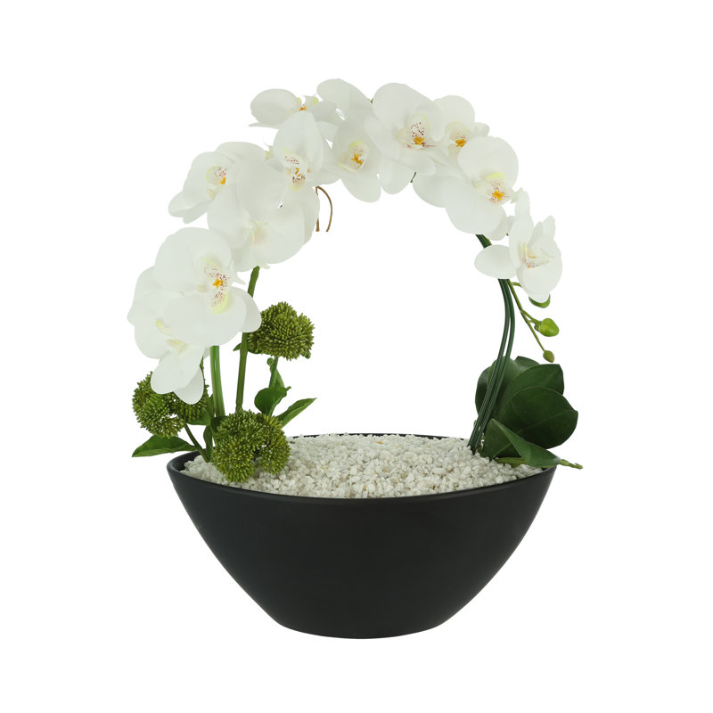 Orchidées et arrangement floral Sedum dans un vase