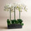 Orchid Floral Arrangement