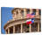 Nicci Texas Capitol Flags-108733476