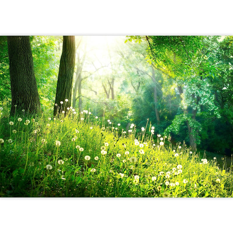 Murale printanière avec herbes et arbres, L 66 po x l 96 po