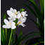 Sapin artificiel 14,96 po-896984857