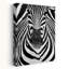 ZEBRA Abstract Contemporary Zebra Nature Wildlife Wall Art Print-2105049002
