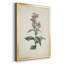 Toile encadrée de qualité supérieure Traditional Botanical II - prête à être accrochée-1499685930-1499685934