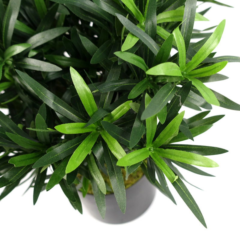 Anlin 40cm Faux Podocarpus Tree in Pot