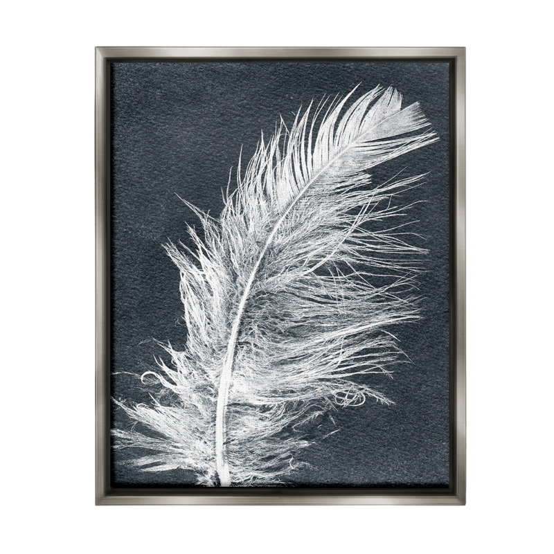 «Blue & White Feather Floater Frame» par Pernille Folcarelli sur, H 21 po x l 17 po, Cadre flottant gris lustré