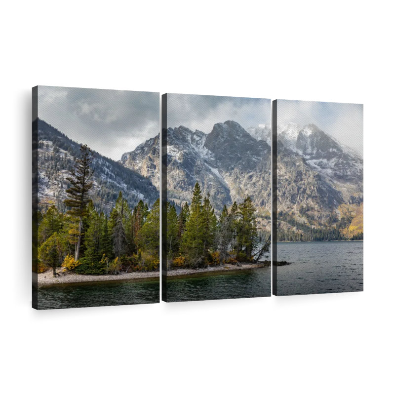 «Jenny Lake Tree Grove» sur toile, H 32 po x l 50 po