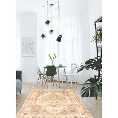 Biana Wool Oriental Indoor Rug