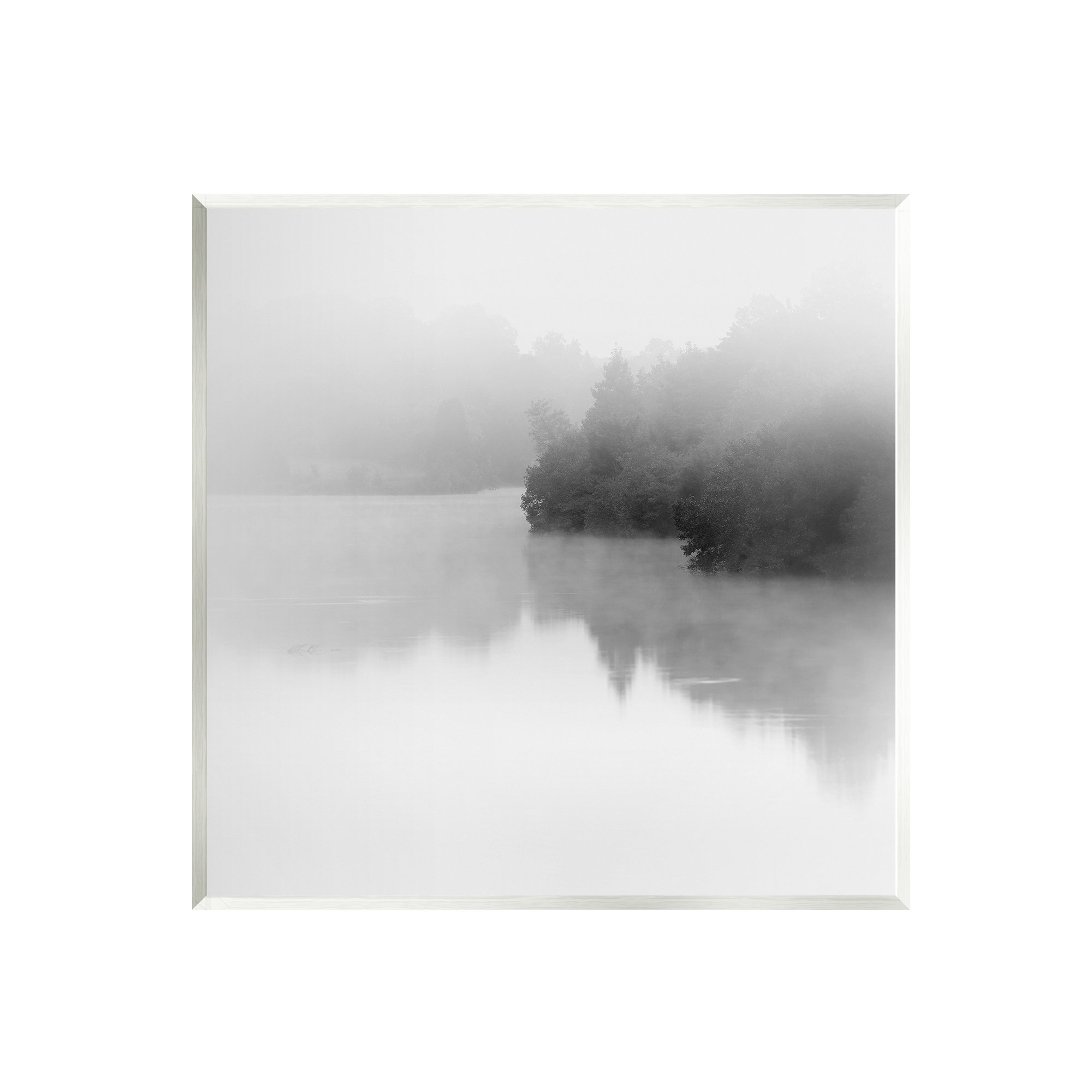 Stupell Industries Foggy Lake Mysterious Reflection by Nicholas Bell ...