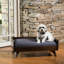 Lit pour chien Mid Century