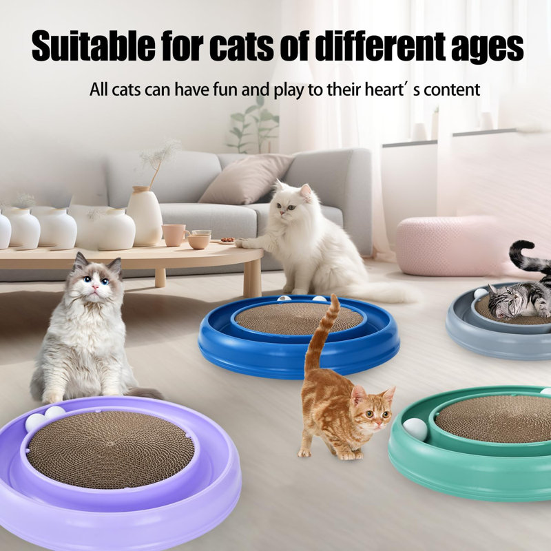 Jeu de boules de chat pour chats d'intérieur, jeu d'exercice interactif rond pour adultes et chaton, Mauve