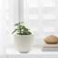 Pot à fleurs noir avec trou de drainage de 13,7 po de diamètre Acushnet-1333807586-1333807580