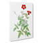 Rosebush by Pierre-Joseph Redoute - Wrapped Canvas-55323823