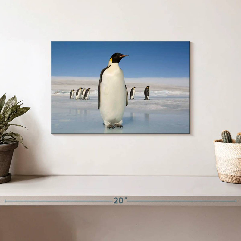 Pingouins qui marchent, H 8 po x l 12 po