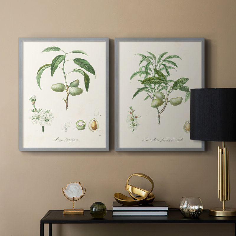 Impression encadrée botanique antique I-Premium - prête à être accrochée - aucun clou requis, Vert, H 21 po x l 34 po