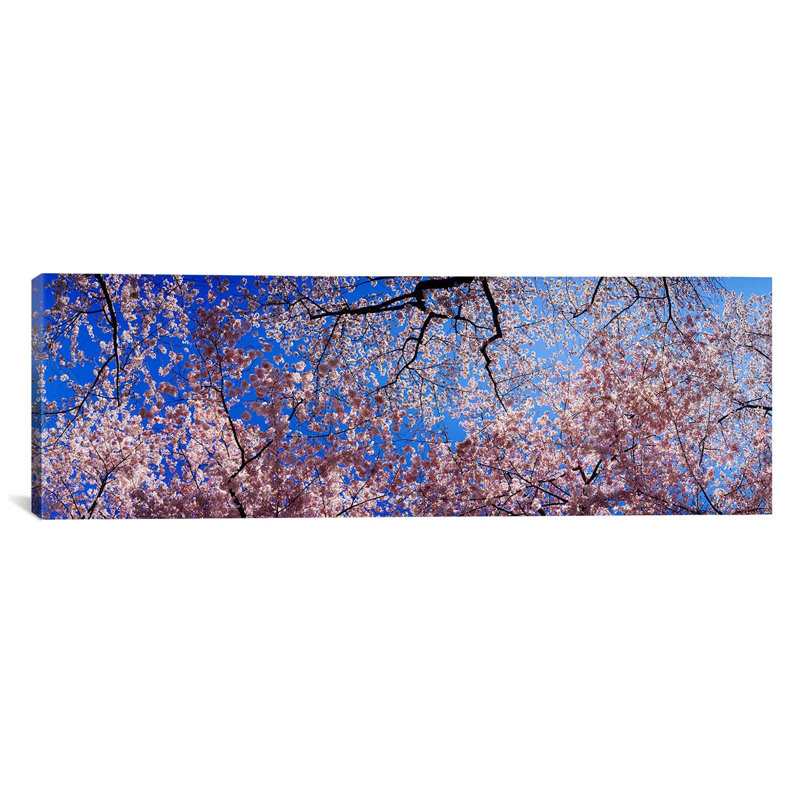 « panoramique washington state », reproduction de photo sur toile, H 12 po x l 36 po x P 1,5 po, Toile tendue