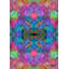 Orbes 4