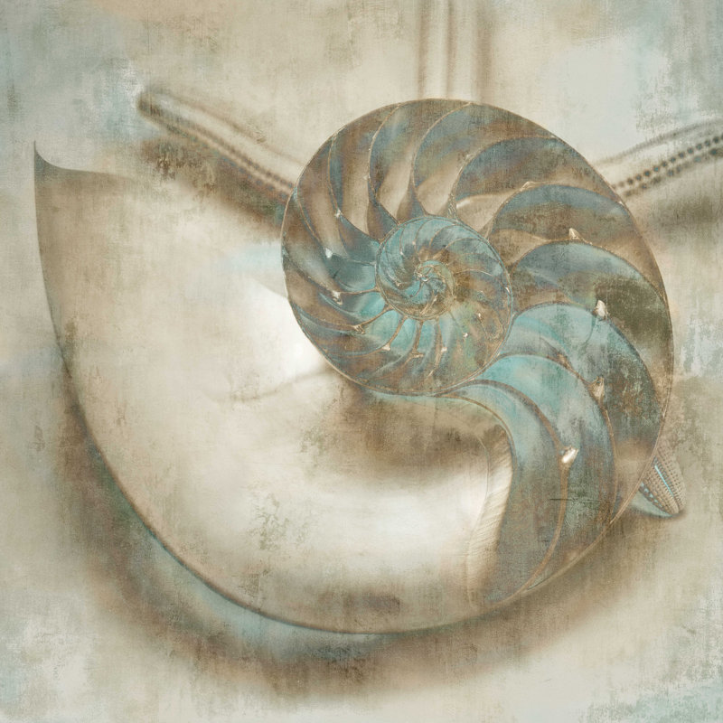 Coastal Gems IV - Impression sur toile tendue, H 12 po x l 12 po