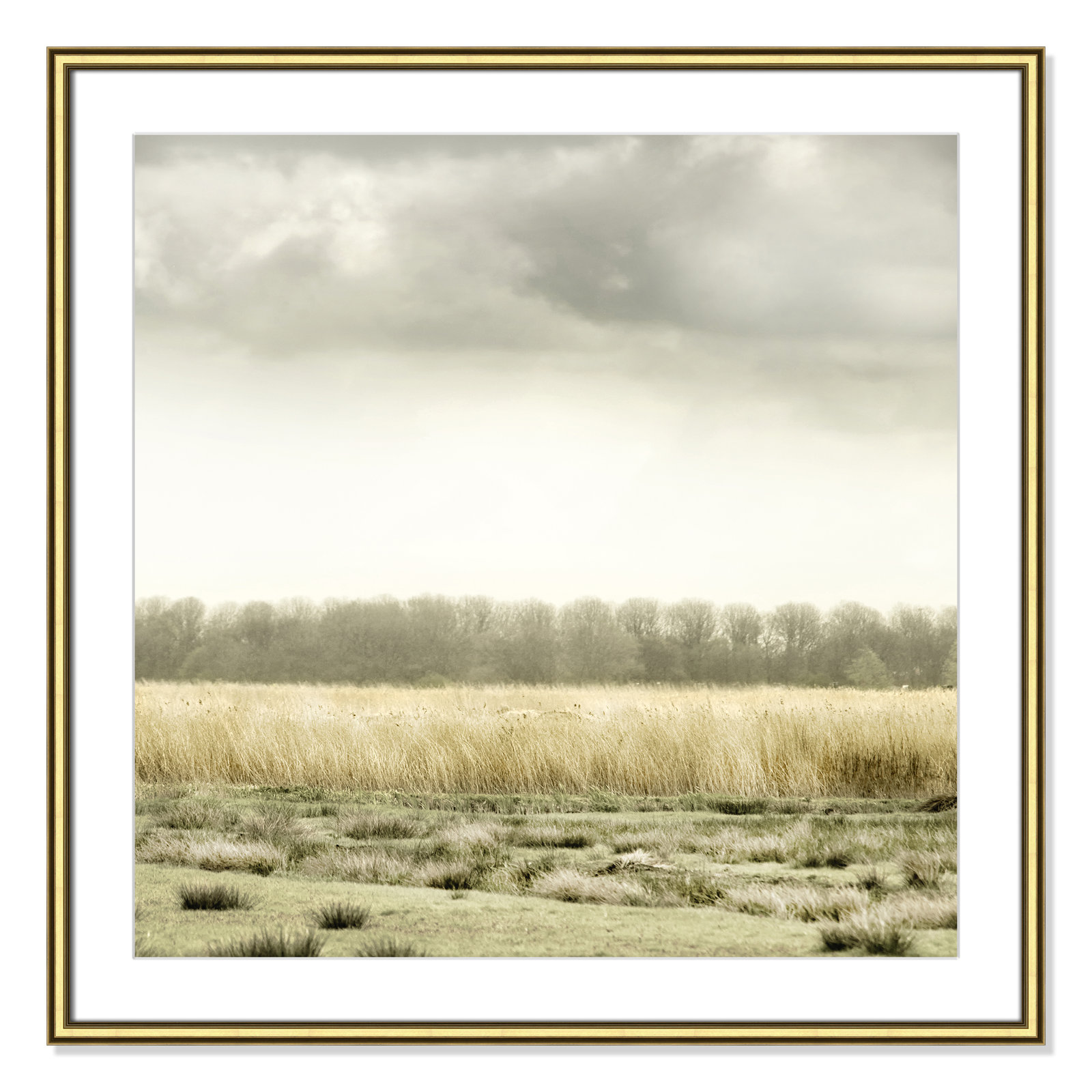 Henri "Meadowland" Print by Danita Delimont, Gold, 32" H x 32" W