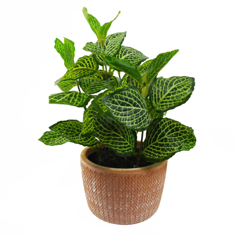 22cm Faux Plant in Terracotta Planter