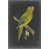Black Floater Framed