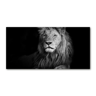 Lion - No Frame Print on Canvas