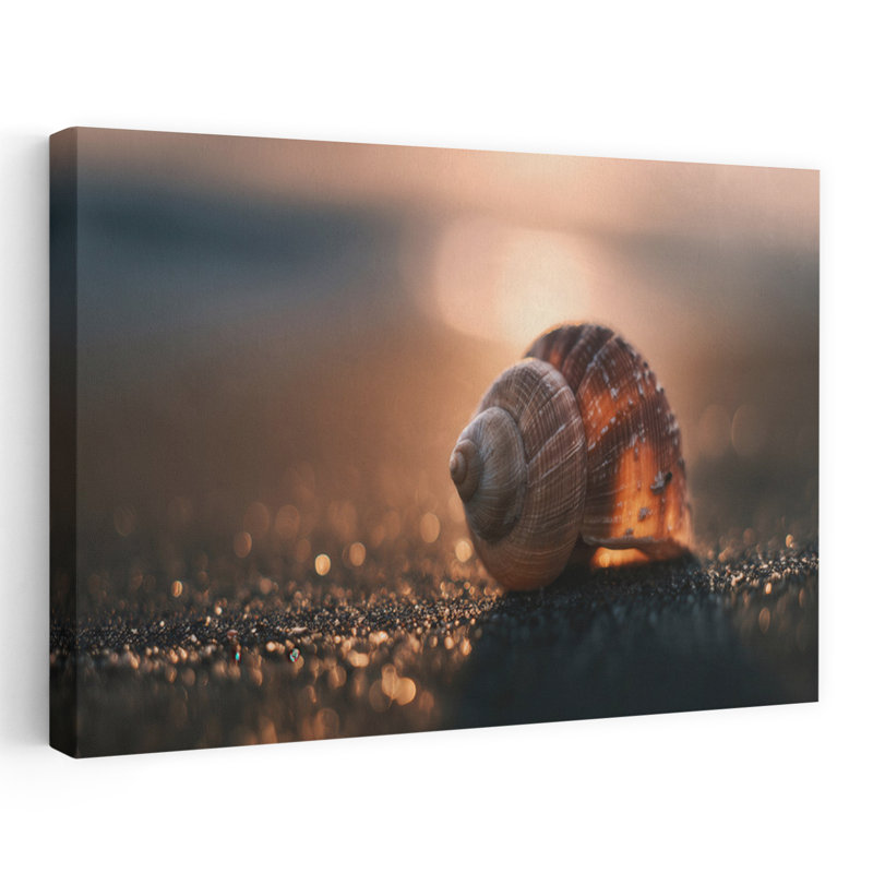 «Golden Hour», impression d'art mural coquillage paisible et serein, 24" H x 36" W