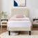 Auxter Adjustable Upholstered Head Height Bed Frame