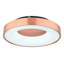 Caelab LED Flush Mount-389251528-389251531