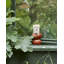 Tomato Candle