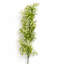 45 cm H Faux Plant-127681169