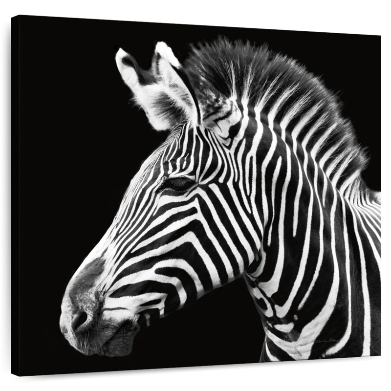 Brampt Zebra Stripes Pattern III, 24" H x 24" W